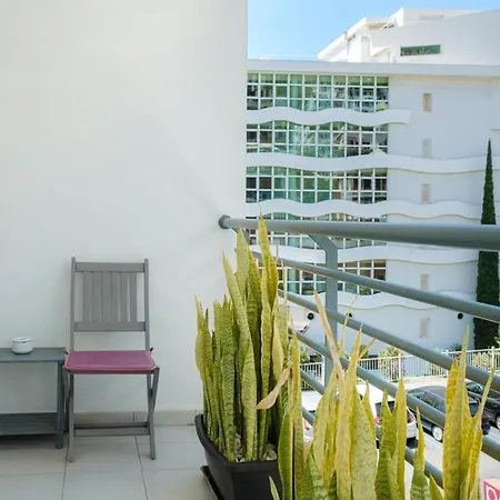 Daire Guestready - A Sunny Delight In Funchal