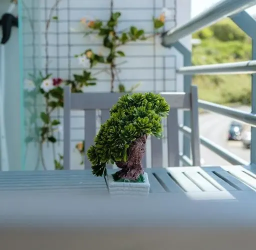 Guestready - A Sunny Delight In